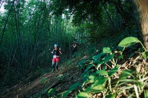 BIB: 
                            <button type="button" onclick="openModal(28124713)" class="btn btn-primary btn-sm float-right btn-popup" data-toggle="modal" data-target=".modal-high-quality">
                        <i class="fas fa-shopping-cart"></i> Add to Cart
                    </button>
                                            <button type="button" onclick="isThisMe(28124713, true)" class="btn btn-success btn-sm float-right btn-popup btn-isme hidden" data-toggle="tooltip" data-placement="bottom" title="นี่คือรูปของคุณใช่ไหม คลิกที่นี่เพื่อเอาเข้าอัลบั้ม">
                        <i class="fas fa-plus"></i> Add to album
                    </button>
                    <button type="button" onclick="isThisMe(28124713, false)" class="btn btn-warning btn-sm float-right btn-popup btn-isnotme hidden">
                        <i class="fas fa-ban"></i> Remove from album
                    </button>